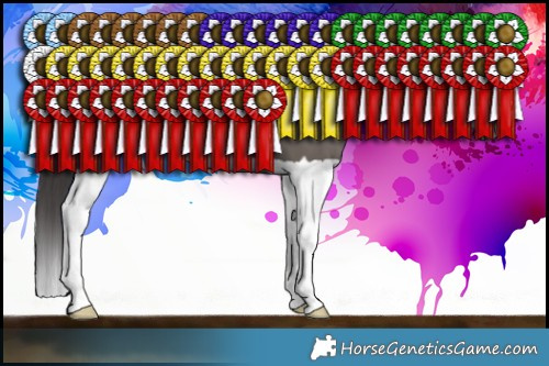 Horse Color:Smoky Grullo Splash 