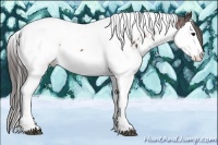 Horse Color:Bay Splash Tobiano Appaloosa 