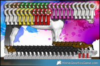 Horse Color:Black Splash Rabicano 