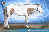 Horse Color:Classic Champagne Splash Tobiano