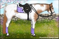 Horse Color:Chestnut Tobiano Frame