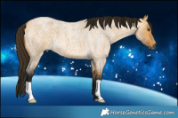 Horse Color:Gray Buckskin Roan Dun 