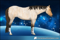 Horse Color:Gray Buckskin Roan Dun