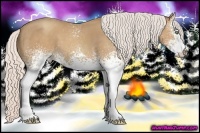 Horse Color:White Spotted Silver Classic Champagne