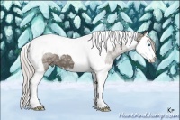 Horse Color:Silver Grullo Ice Splash Tobiano