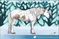 Horse Color:Silver Grullo Ice Splash Tobiano