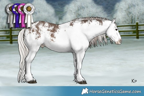 Horse Color:White Spotted Silver Black Splash 