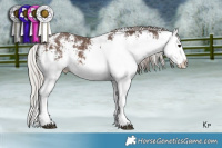 Horse Color:White Spotted Silver Black Splash