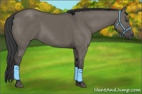 Horse Color:Smoky Grullo 