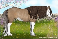 Horse Color:Liver Red Dun Splash Rabicano 