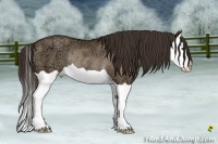 Horse Color:Liver Red Dun Ice Splash Rabicano
