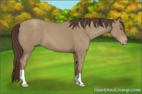 Horse Color:Classic Champagne 