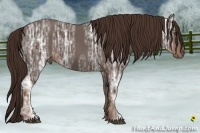 Horse Color:Liver Chestnut Ice 