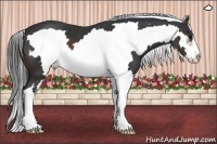 Horse Color:Brown Sabino Frame