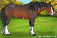 Horse Color:White Spotted Brown Roan Splash 
