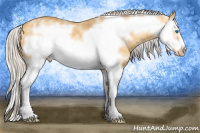Horse Color:White Spotted Silver Amber Cream Champagne Dun Splash Frame 