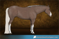 Horse Color:White Spotted Silver Black