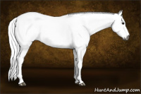 Horse Color:Gray White Spotted Grullo Tobiano 