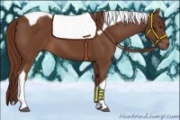Horse Color:Chestnut Tobiano