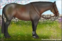 Horse Color:Liver Chestnut Sabino 
