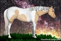 Horse Color:Silver Bay Dun Tobiano Rabicano