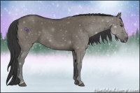 Horse Color:Smoky Grullo
