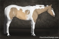 Horse Color:White Spotted Buckskin Dun Tobiano