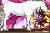 Horse Color:Brown Ice Pearl Splash Appaloosa Rabicano