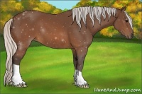 Horse Color:Silver Brown 
