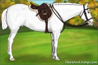 Horse Color:Silver Buckskin Pearl Dun Blanket 
