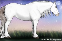 Horse Color:Brown Ice Appaloosa Rabicano 