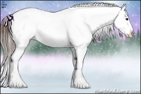 Horse Color:Brown Ice Appaloosa Rabicano 