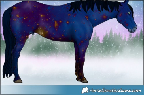 Horse Color:ERROR: UNKNOWN ANOMALY