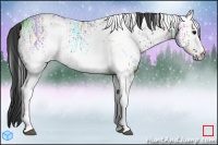 Horse Color:White Spotted Grullo Ice 