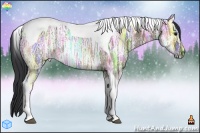 Horse Color:Brown Ice Dun Sabino Tobiano 