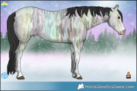 Horse Color:Brown Ice Dun Sabino Tobiano 