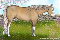 Horse Color:White Spotted Silver Brown Dun Sabino Splash Rabicano