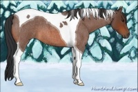 Horse Color:Bay Roan Tobiano 