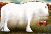 Horse Color:Plaid Cremello Sabino Brindle