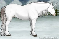 Horse Color:Brown Ice Splash Appaloosa Rabicano