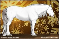 Horse Color:Brown Ice Appaloosa 