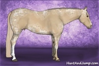 Horse Color:Palomino Ice