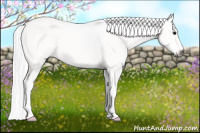 Horse Color:Gray Silver Blue Roan Sabino Appaloosa 