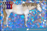 Horse Color:White Spotted Buckskin Pearl Splash 
