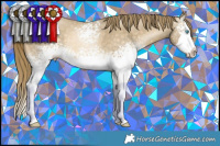 Horse Color:White Spotted Buckskin Pearl Splash 