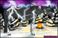 Horse Color:Black Tobiano 