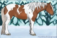 Horse Color:Silver Bay Tobiano