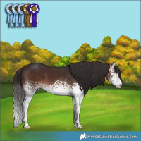 Horse Color:White Spotted Brown 
