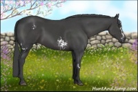 Horse Color:White Spotted Smoky Black Frame
