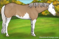 Horse Color:Silver Bay Roan Dun Splash 